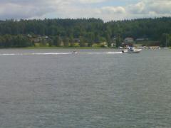 Anna och Mickis är fortfarande kvar i ringen