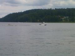 Över eller under vattenytan?