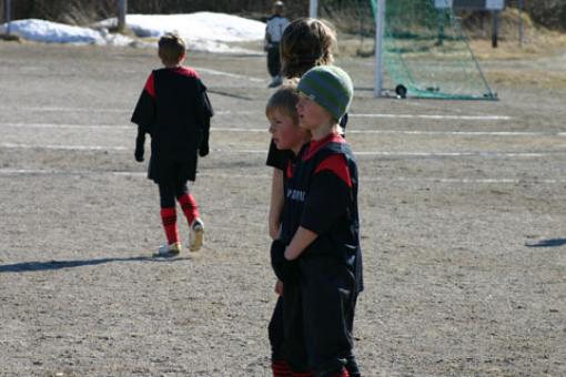 bild71.jpg