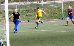 IMG_2370.jpg