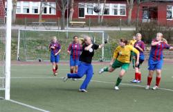 IMG_2374.jpg