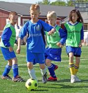 Felix in action.jpg