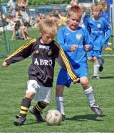 Täcker bollen.jpg