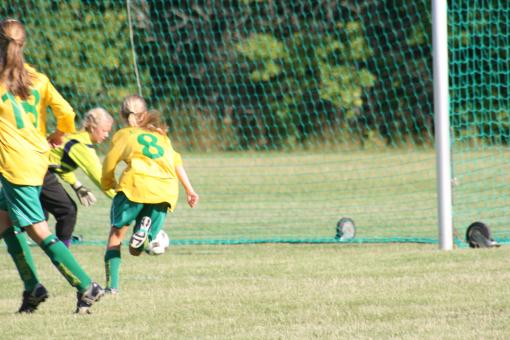 2008 Juli augusti Gotland 066.JPG