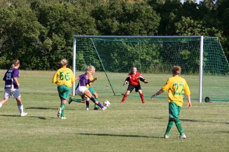 2008 Juli augusti Gotland 060.JPG