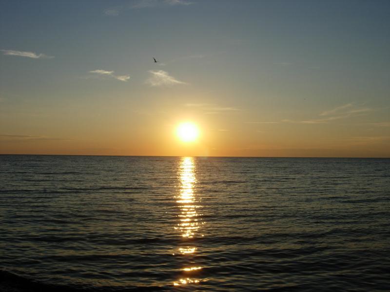 DSCN2479.JPG