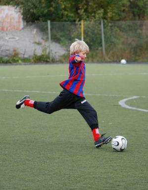 DSC_0181_edited-1.jpg