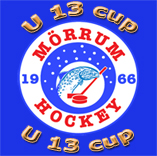 Länk: Klicka här för att komma till U13 cupen