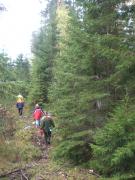 ..ut i skogen tåga alla nu