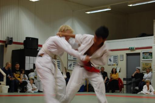 DSC_0037.JPG