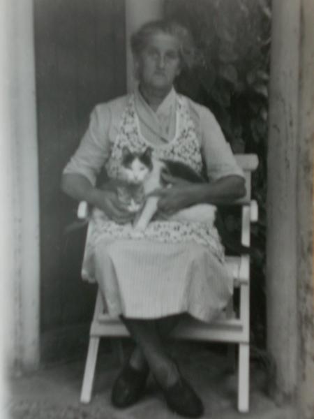 Farmor m katter.JPG