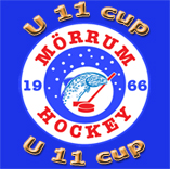 Bild: Ernst & Young U11 cup i Mörrum