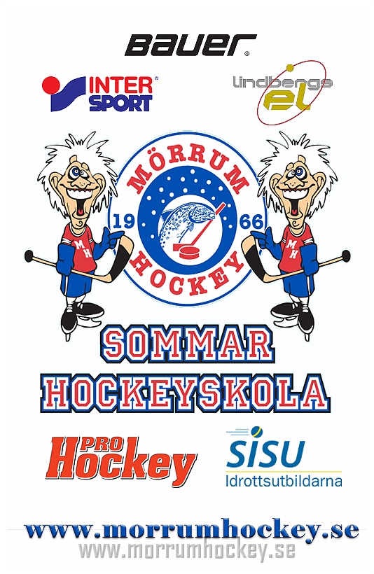 Bild: Mörrums sommarhockeyskola 2009