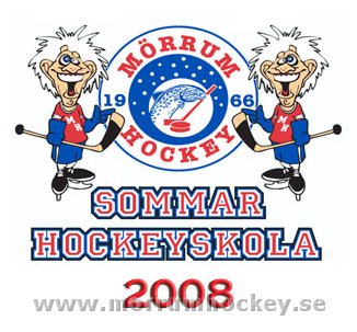 Bild: Mörrums sommarhockeyskola 2008