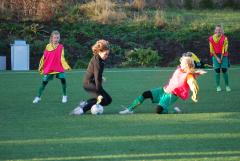 Isländsk landslagsmålvakt!