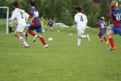 IMG_2190 (Large).JPG