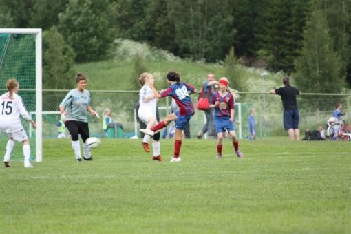 IMG_2203 (Large).JPG
