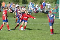 IMG_2444 (Large).JPG