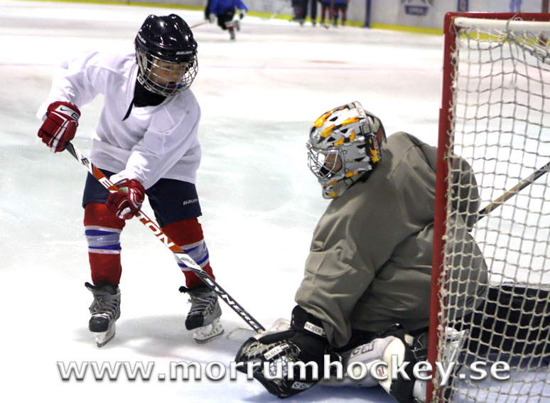 Bild: Årets tema i Mörrums sommarhockeyskola är Att Göra Mål