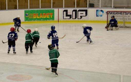DSC_1815_20110320_125114.jpg