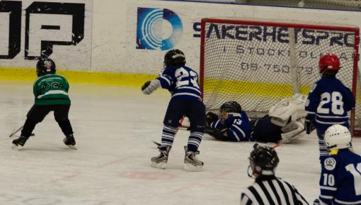 DSC_1827_20110320_125428.jpg