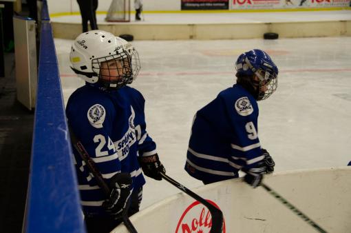 DSC_1863_20110320_131718.jpg