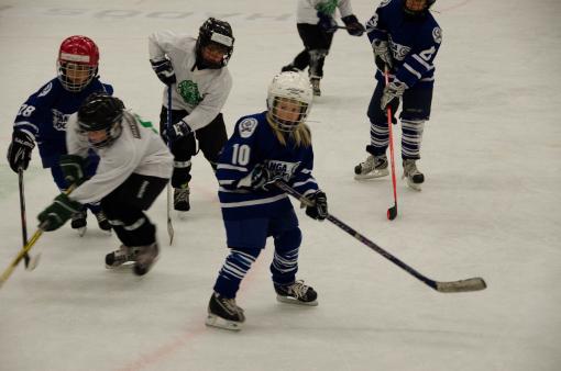 DSC_1888_20110320_142608.jpg