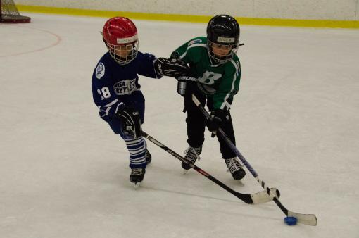 DSC_1938_20110320_151700.jpg