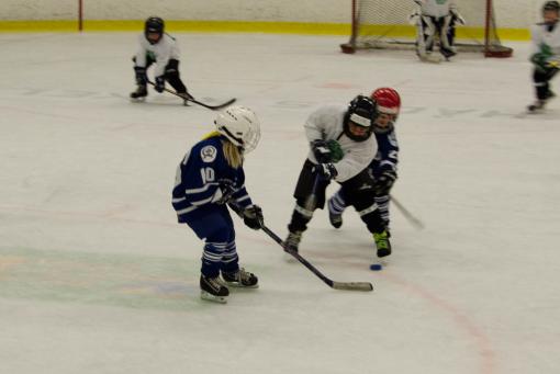 DSC_1887_20110320_142604.jpg