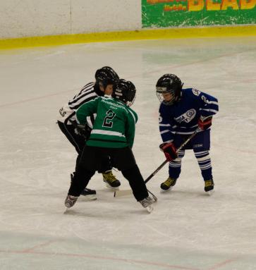 DSC_1819_20110320_125222.jpg