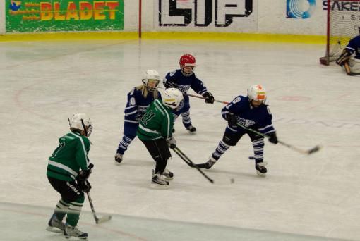 DSC_1828_20110320_125452.jpg