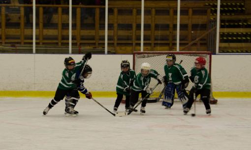 DSC_1841_20110320_130718.jpg