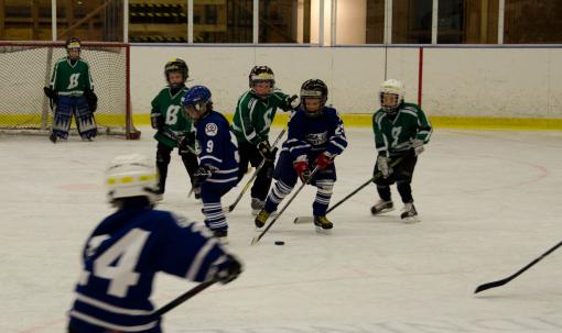 DSC_1867_20110320_131948.jpg