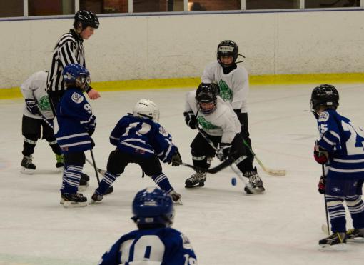 DSC_1898_20110320_143324.jpg