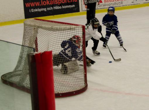 DSC_1902_20110320_144030.jpg
