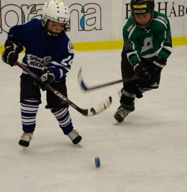 DSC_1923_20110320_151306.jpg