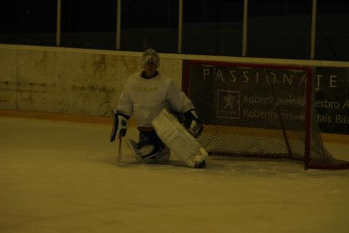 IMG_2486.JPG