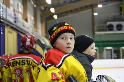 Bild (5 av 12).jpg