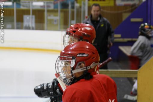 Bild (10 av 12).jpg