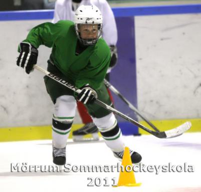 MHS2011d1_n.jpg