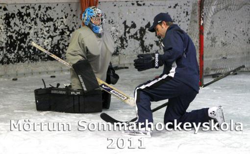 MHS2011d2_d.jpg