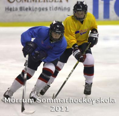 MHS2011d2_z.jpg