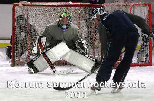 MHS2011d3_b.jpg