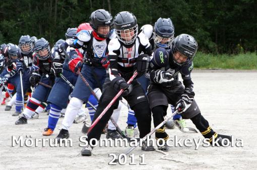 MHS2011d4_za.jpg