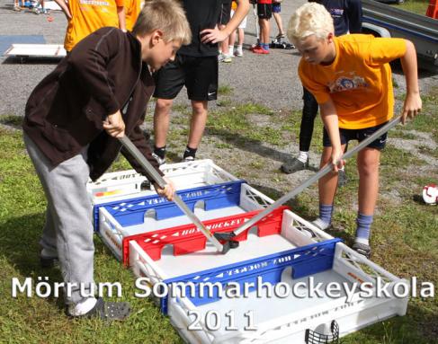 MHS2011d5_i.jpg