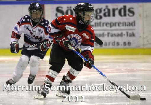 MHS2011d5_za.jpg