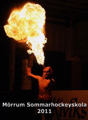 MHS2011d5_zu.jpg