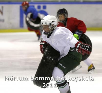 MHS2011d4_d.jpg