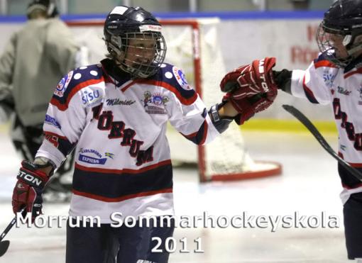 MHS2011d3_zc.jpg