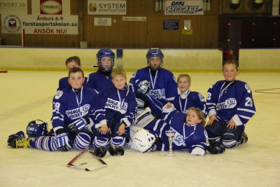 Viggan_cup